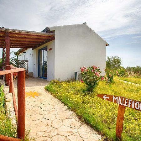 Agriturismo Mieleamaro Villa Olbia Bagian luar foto