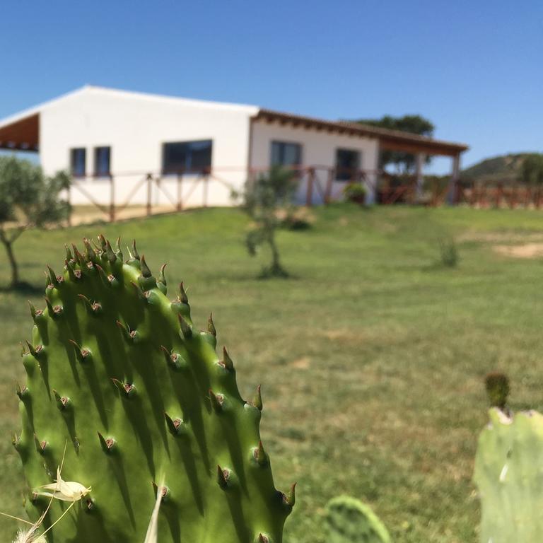 Agriturismo Mieleamaro Villa Olbia Bagian luar foto